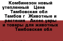 Комбинезон новый утепленный › Цена ­ 700 - Тамбовская обл., Тамбов г. Животные и растения » Аксесcуары и товары для животных   . Тамбовская обл.